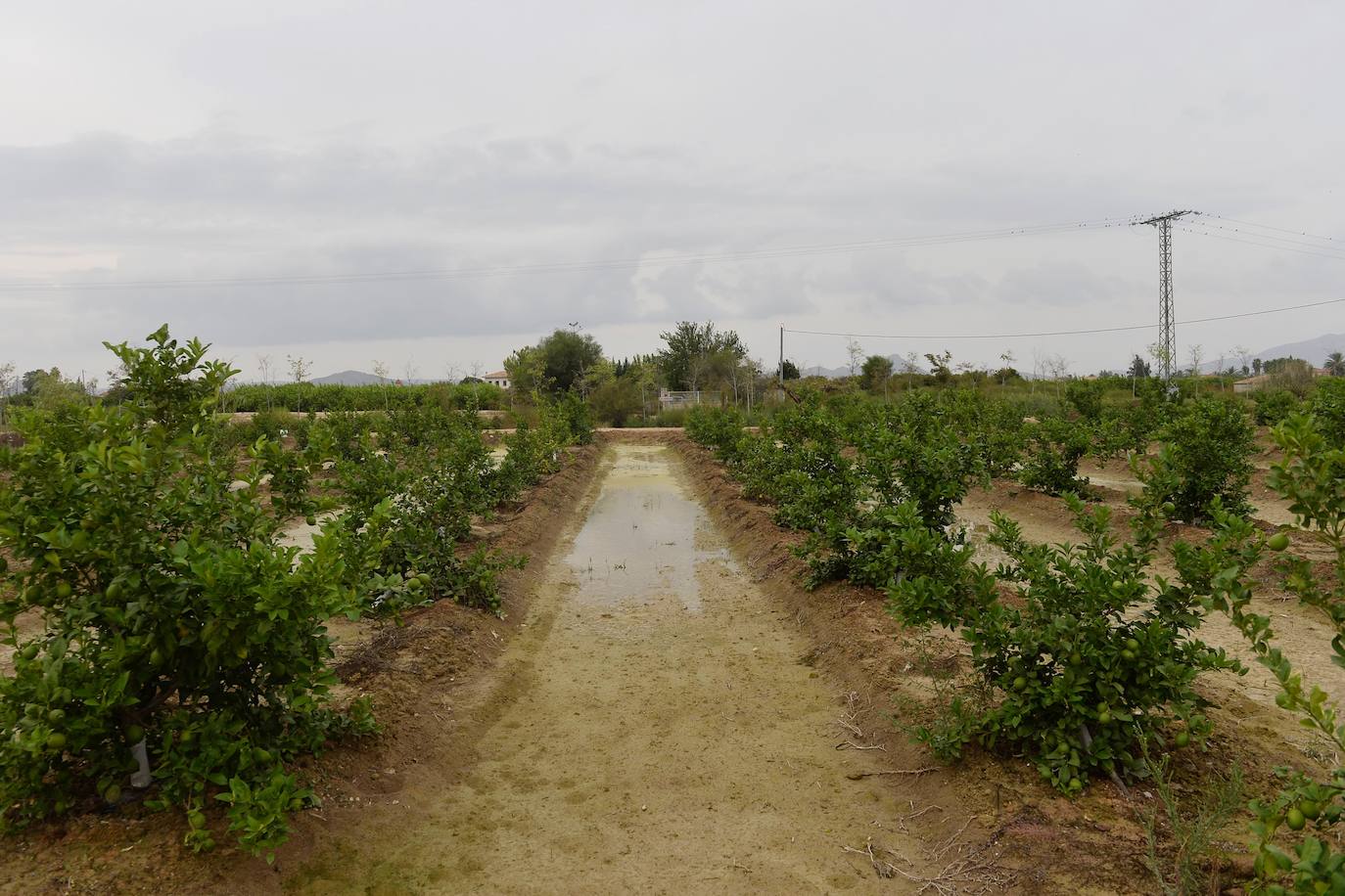 La Junta Municipal elabora un listado con las principales necesidades de cada zona para buscar las soluciones adecuadas junto al Ayuntamiento