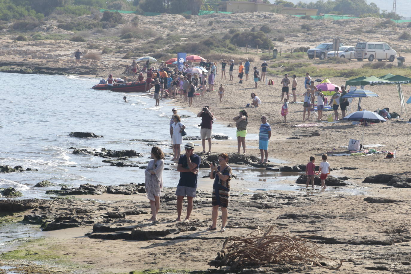 Cuatro nadadoras del Club Master Madrid completan una travesía entre Mazarrón y Águilas para llamar la atención sobre las basuras marinas y la contaminación de los océanos