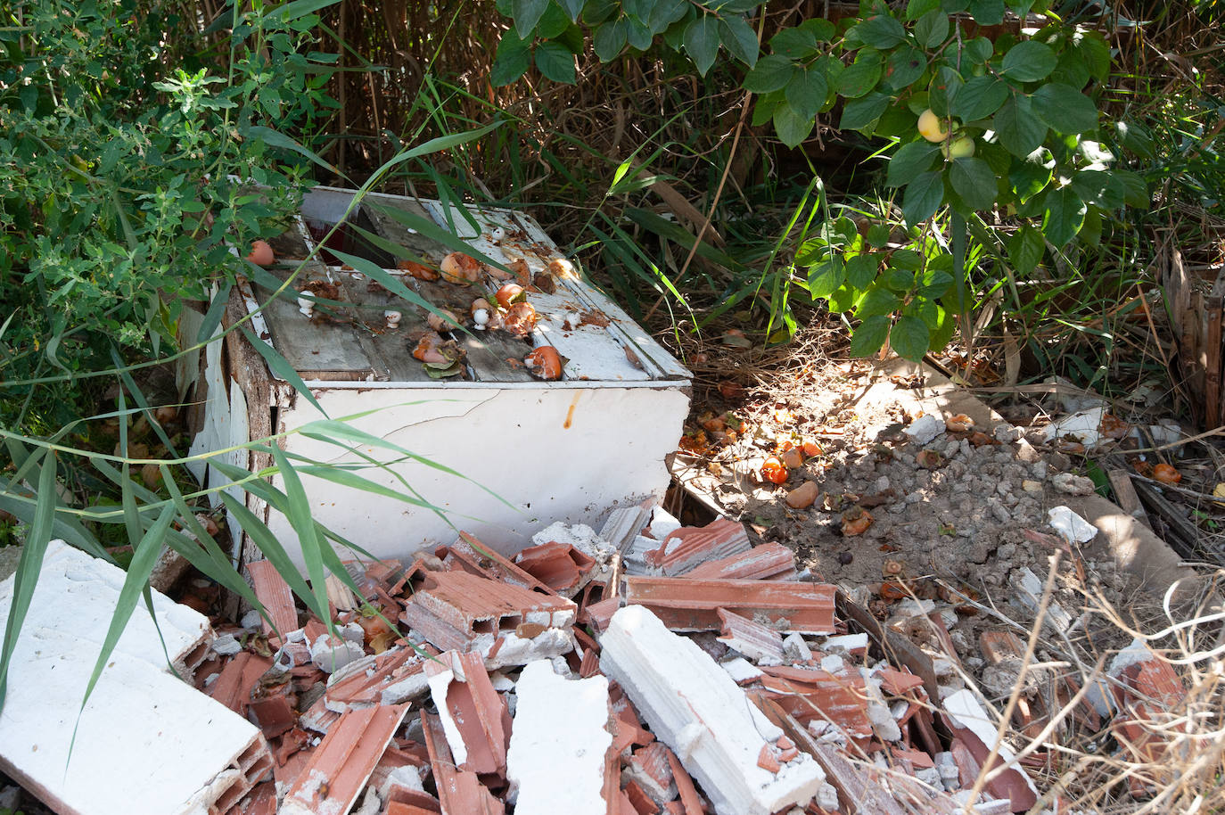 La Policía ha detenido al supuesto autor y a su pareja mientras investiga las circunstancias de la muerte. El sospechoso, un joven de 26 años, habría guardado silencio durante varios días a pesar de que en la zona se echaba de menos a su progenitor