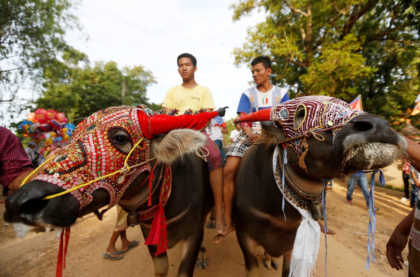 Varias personas participan en peleas y en carreras de búfalos y caballos organizadas con motivo de la culminación de la festividad de «Pchum Ben» o día de los ancestros, en la población de Sithor, Camboya.