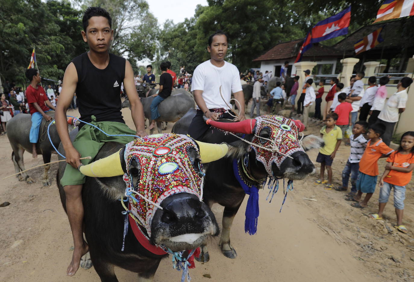 Varias personas participan en peleas y en carreras de búfalos y caballos organizadas con motivo de la culminación de la festividad de «Pchum Ben» o día de los ancestros, en la población de Sithor, Camboya.