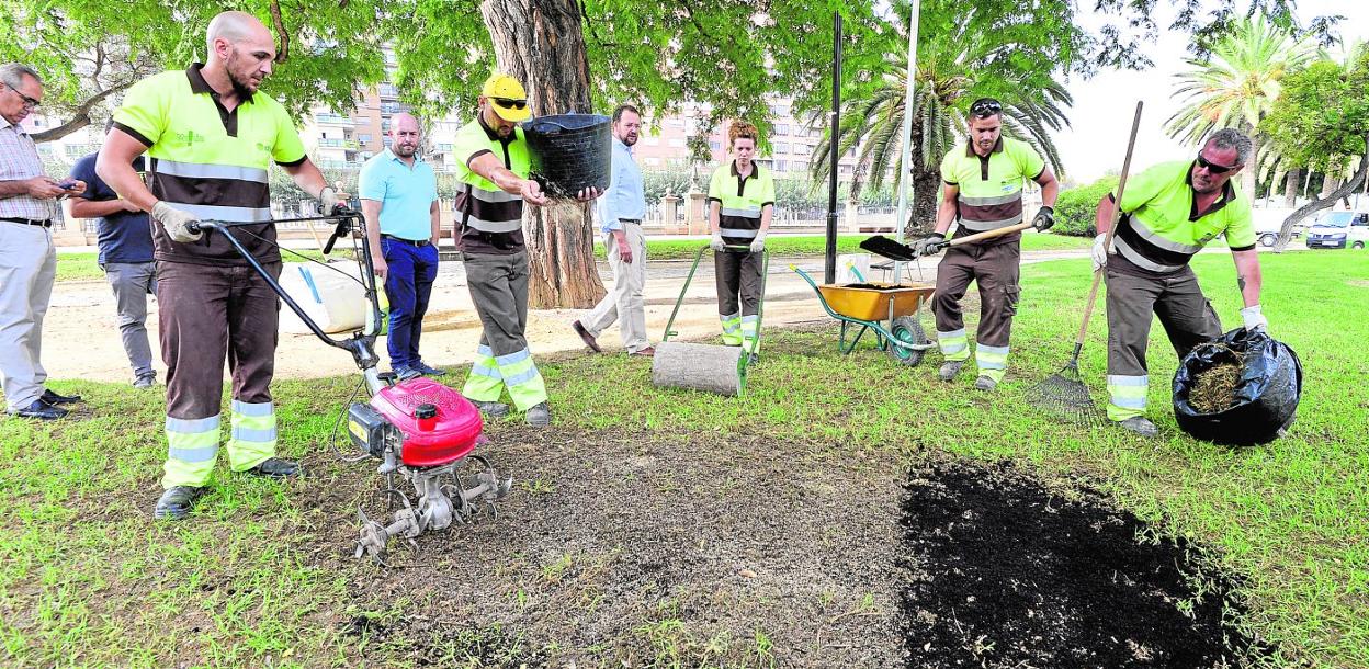 Operarios de la concesionaria, ayer, mientras trabajaban en el jardín que está en la avenida Teniente Flomesta. 