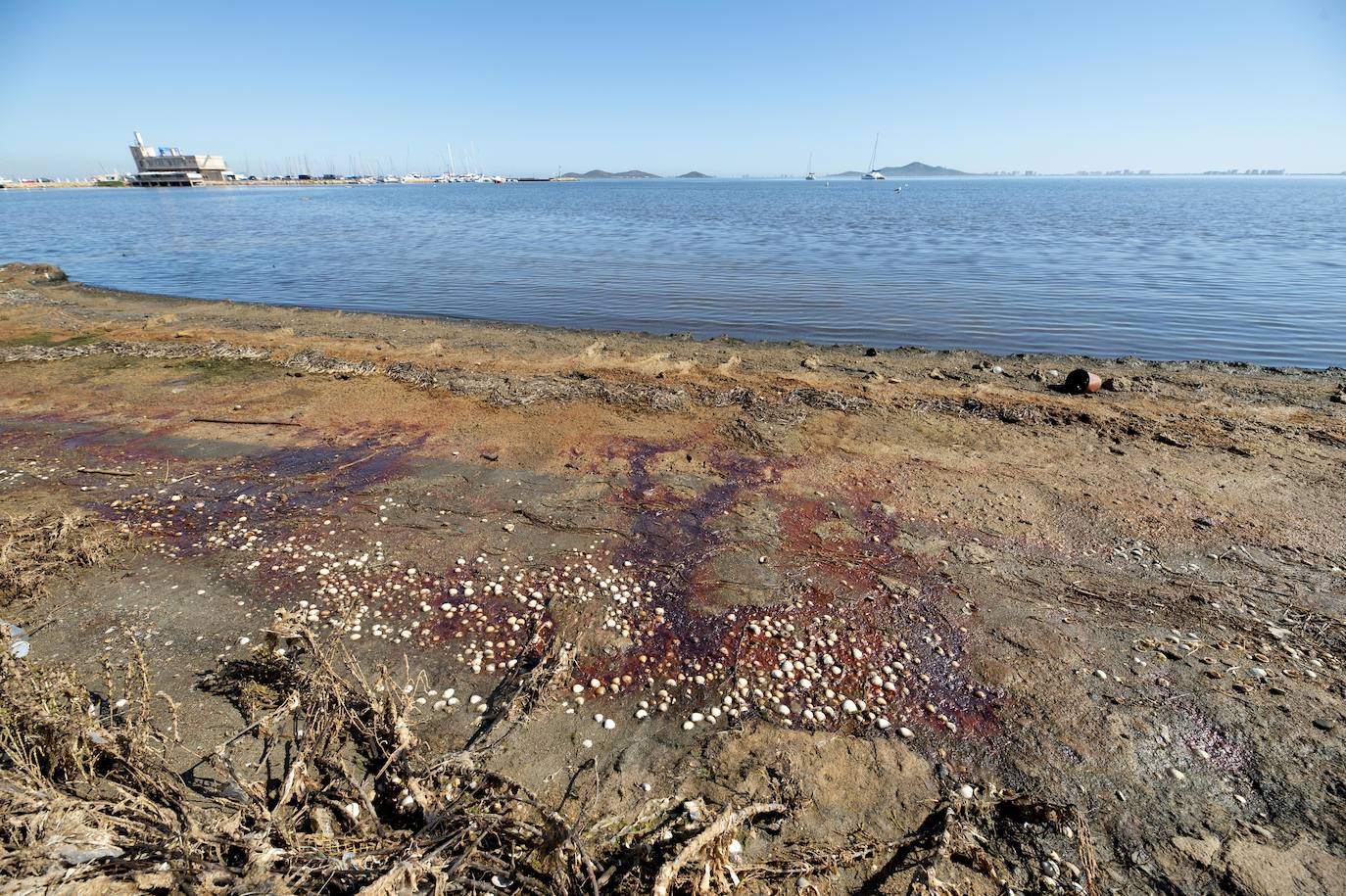 La arena se llena de aguas rojas, lixiviados ácidos con metales pesados que también han dejado un rastro de contaminación junto a Llano del Beal 