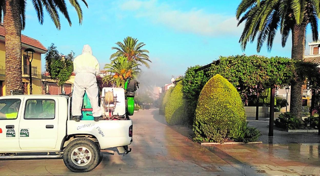 Un operario fumiga en el jardín del convento de Cehegín. 