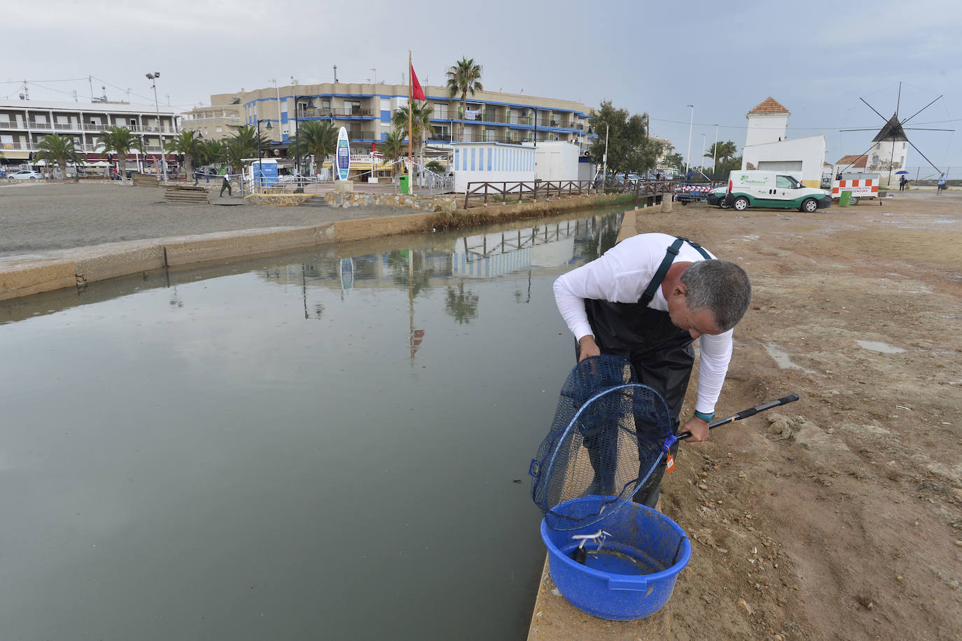 Siguen retirando peces muertos en San Pedro