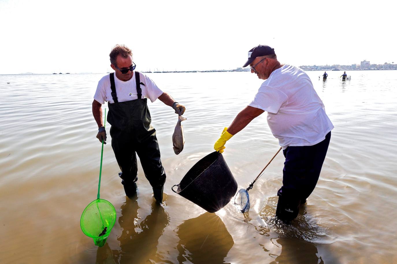 Siguen retirando peces muertos en San Pedro