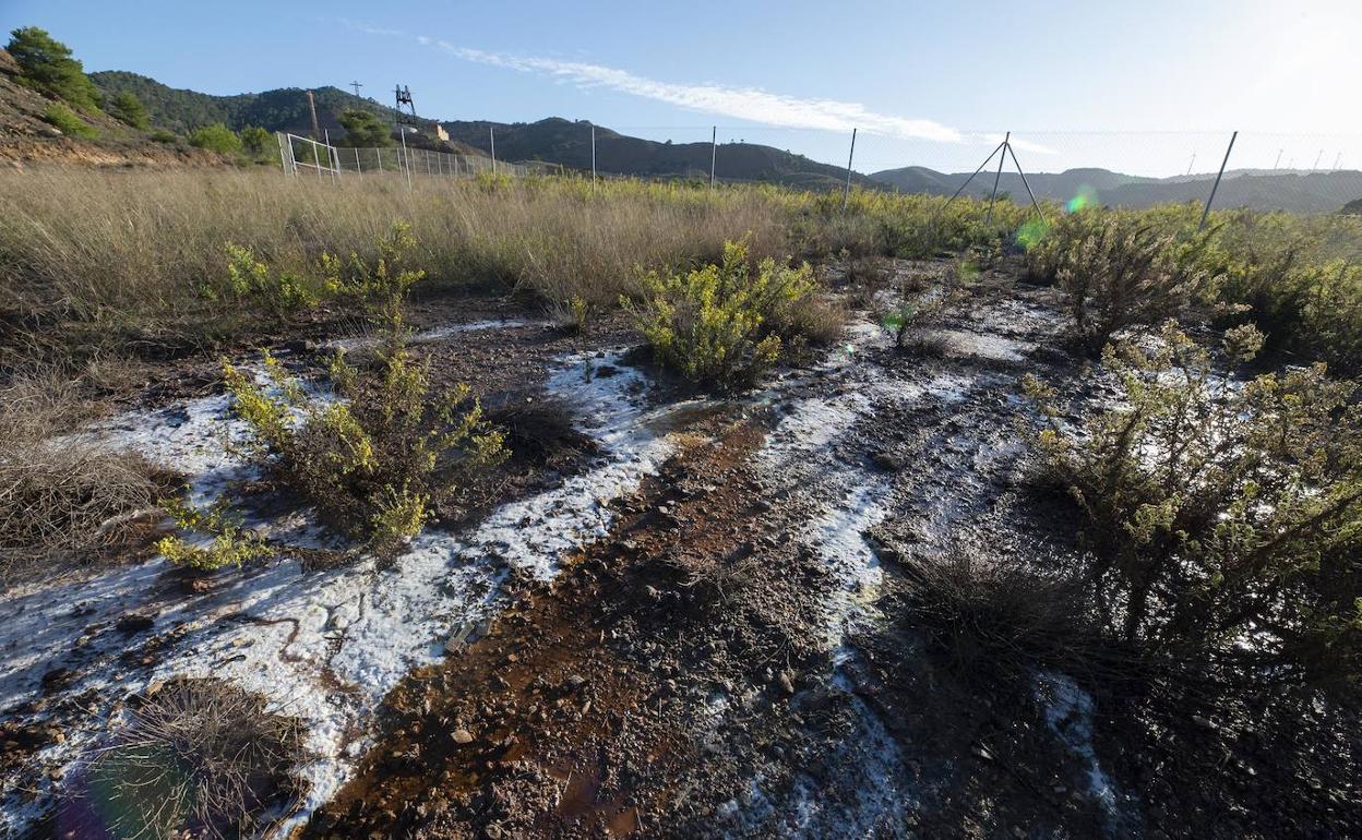 Regueros de agua y sales metálicas junto a la antigua 'Balsa Jenny'.