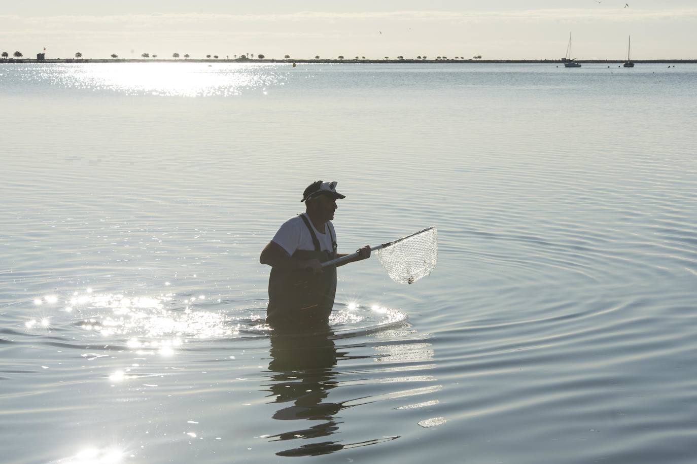 El portavoz del PP en la Asamblea Regional, Joaquín Segado, que consideró «injusto» responsabilizar al Gobierno regional de esta situación ya que son muchas las instituciones, dijo, que no han cumplido «estrictamente con su obligación»