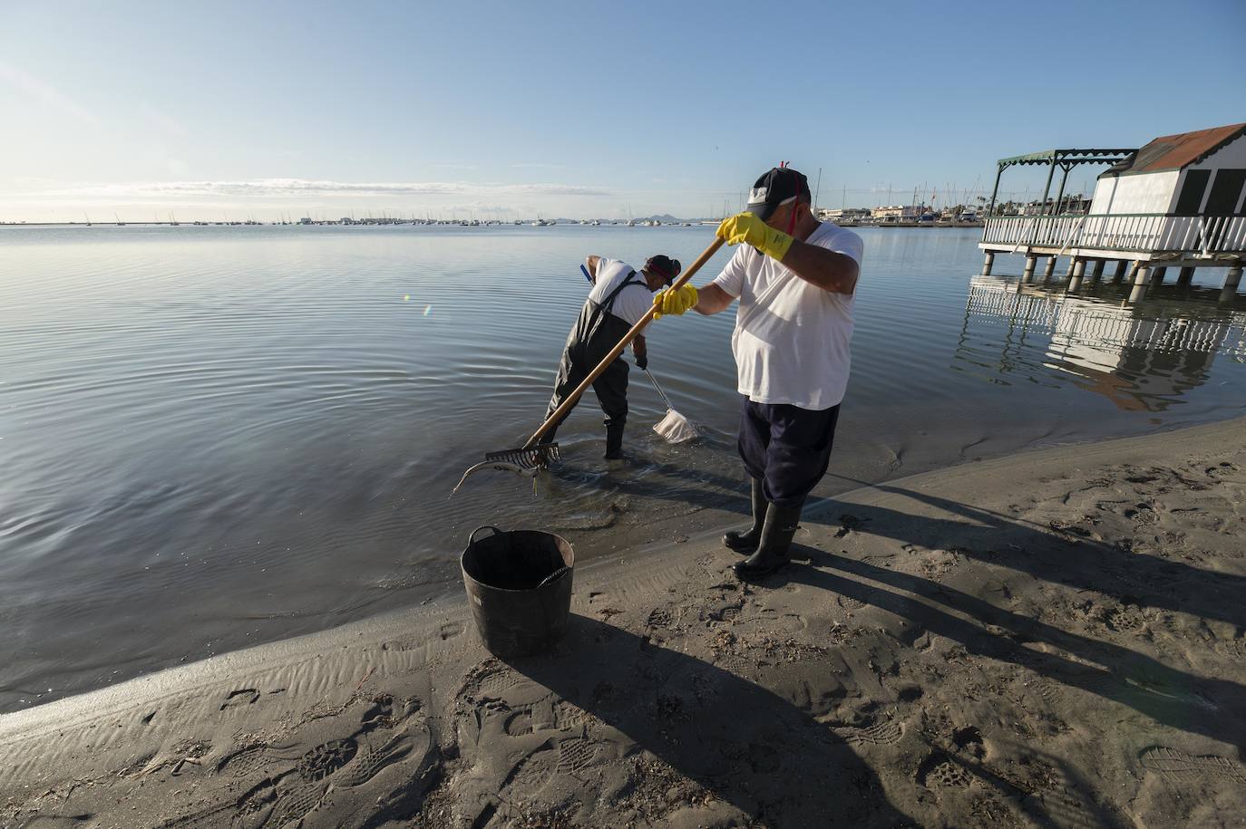 El portavoz del PP en la Asamblea Regional, Joaquín Segado, que consideró «injusto» responsabilizar al Gobierno regional de esta situación ya que son muchas las instituciones, dijo, que no han cumplido «estrictamente con su obligación»