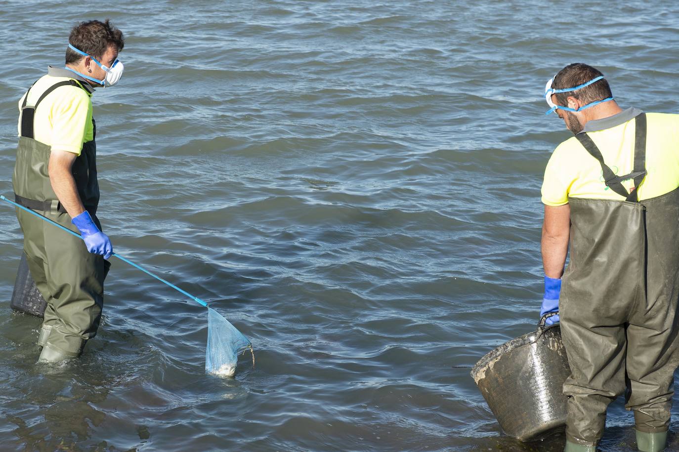 El portavoz del PP en la Asamblea Regional, Joaquín Segado, que consideró «injusto» responsabilizar al Gobierno regional de esta situación ya que son muchas las instituciones, dijo, que no han cumplido «estrictamente con su obligación»