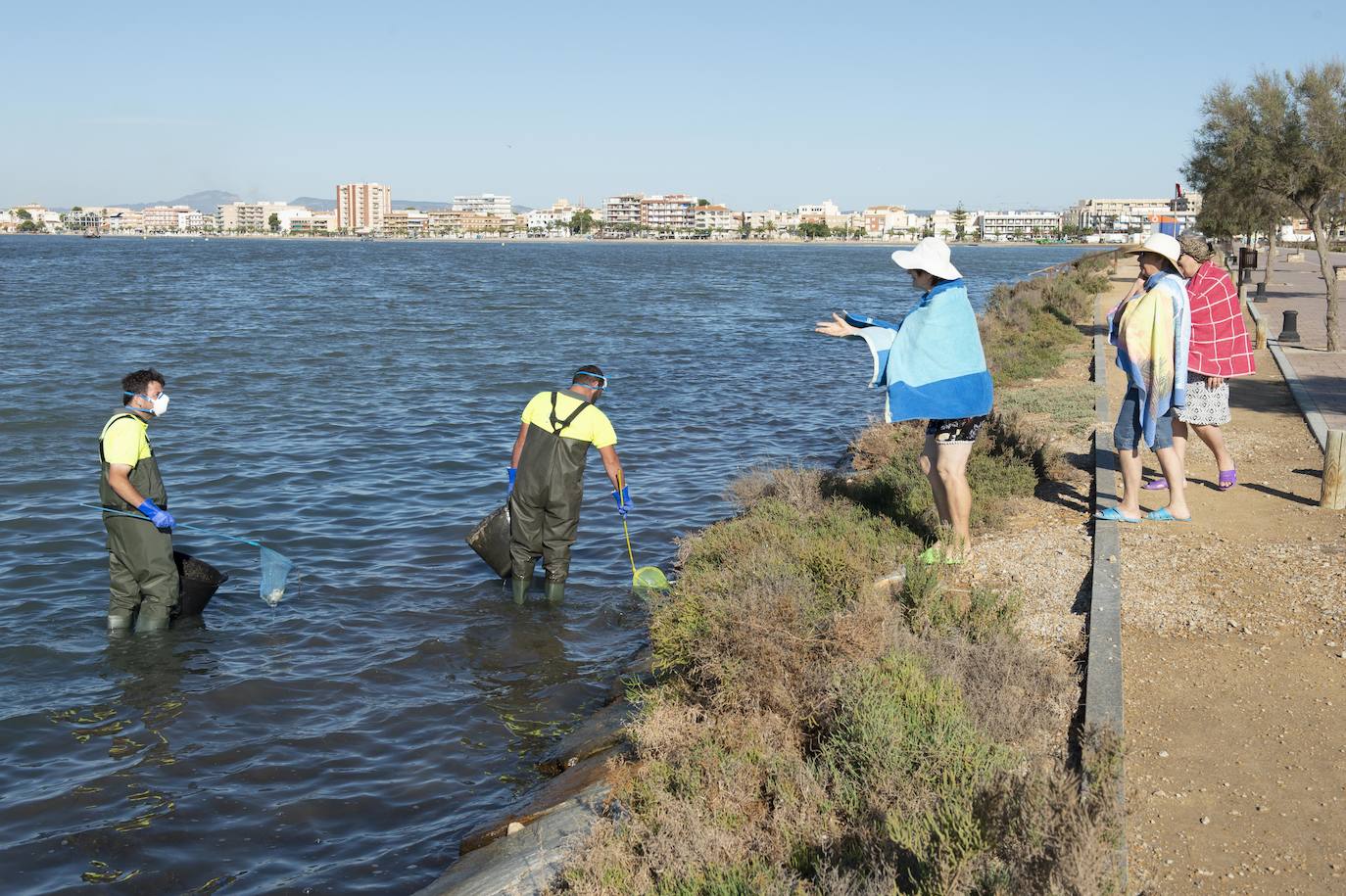El portavoz del PP en la Asamblea Regional, Joaquín Segado, que consideró «injusto» responsabilizar al Gobierno regional de esta situación ya que son muchas las instituciones, dijo, que no han cumplido «estrictamente con su obligación»