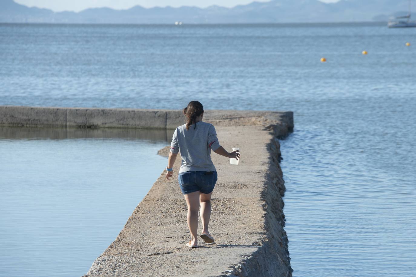 El portavoz del PP en la Asamblea Regional, Joaquín Segado, que consideró «injusto» responsabilizar al Gobierno regional de esta situación ya que son muchas las instituciones, dijo, que no han cumplido «estrictamente con su obligación»