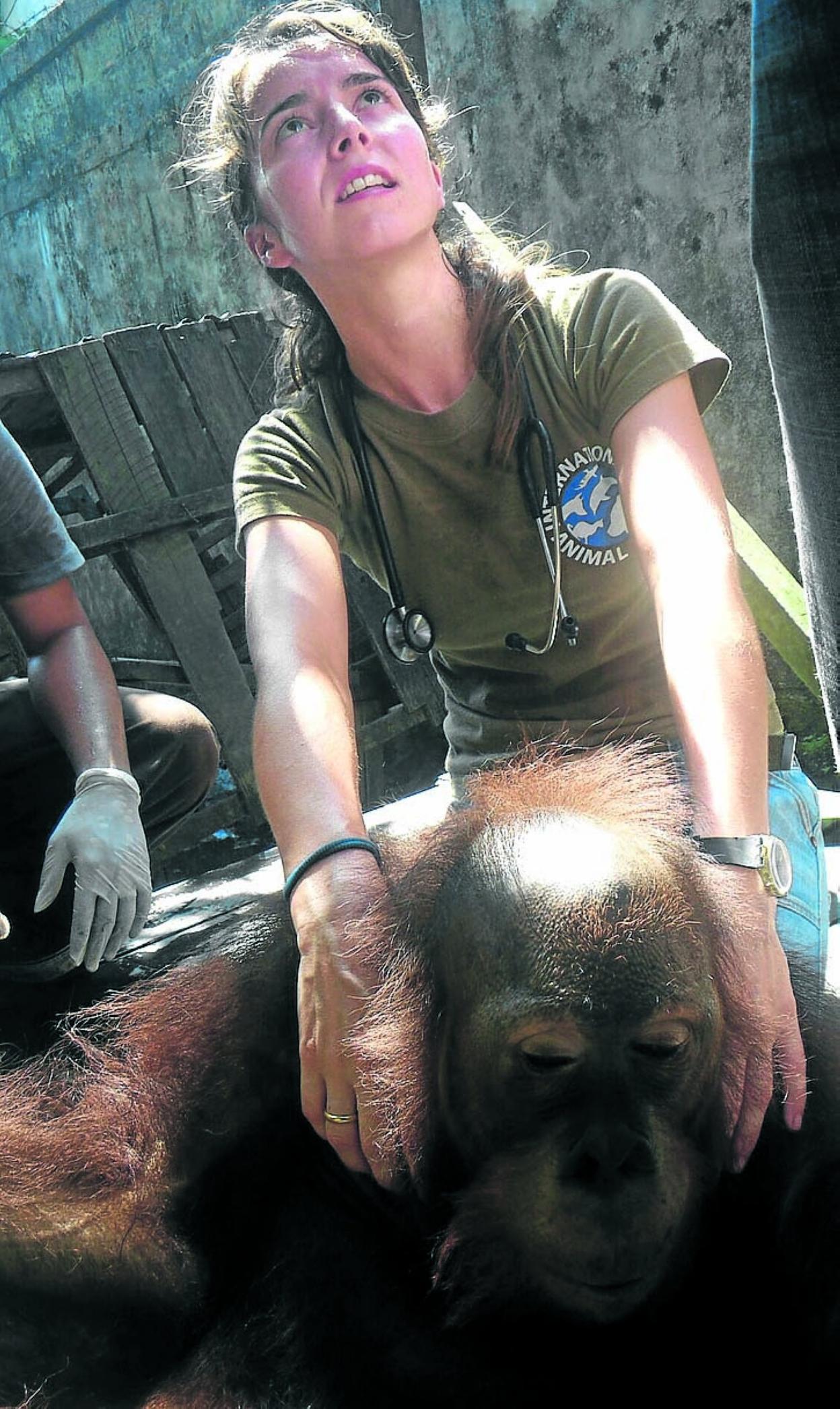 Karmele Llano, junto a uno de los orangutanes rescatados. 