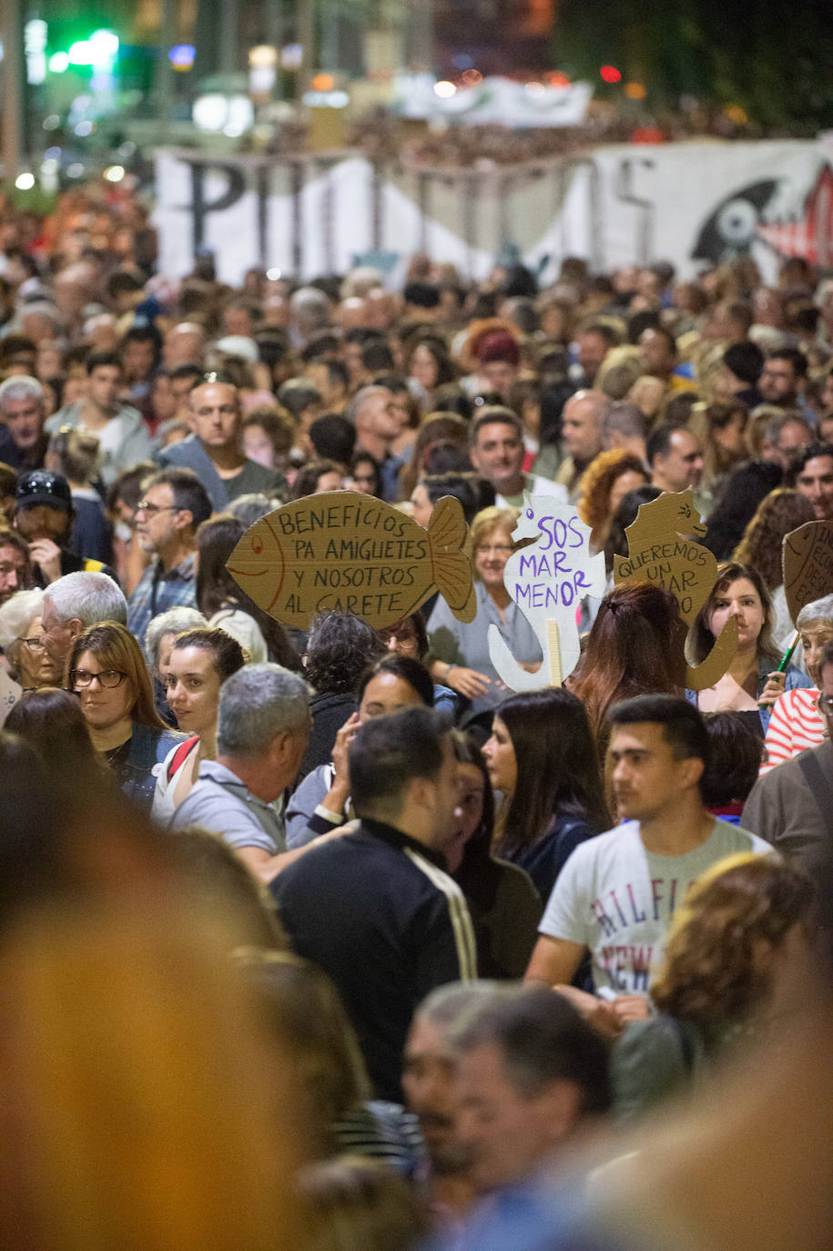 Unas 55.000 personas claman contra la contaminación y reclaman soluciones para «salvar» la laguna.