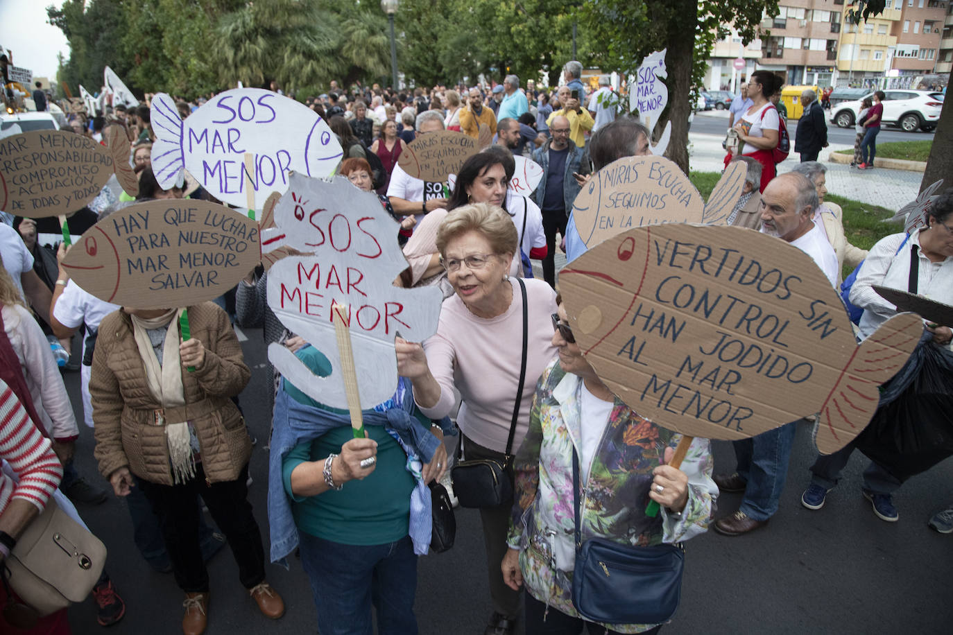 Los manifestantes que este miércoles pidieron medidas para salvar al Mar Menor derrocharon ingenio y creativiad en sus carteles y pancartas.
