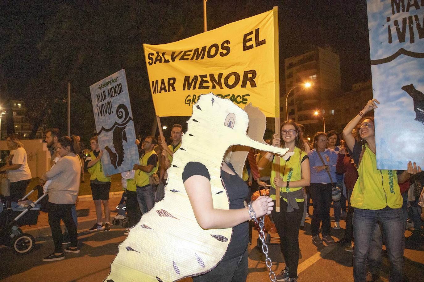 Los manifestantes que este miércoles pidieron medidas para salvar al Mar Menor derrocharon ingenio y creativiad en sus carteles y pancartas.