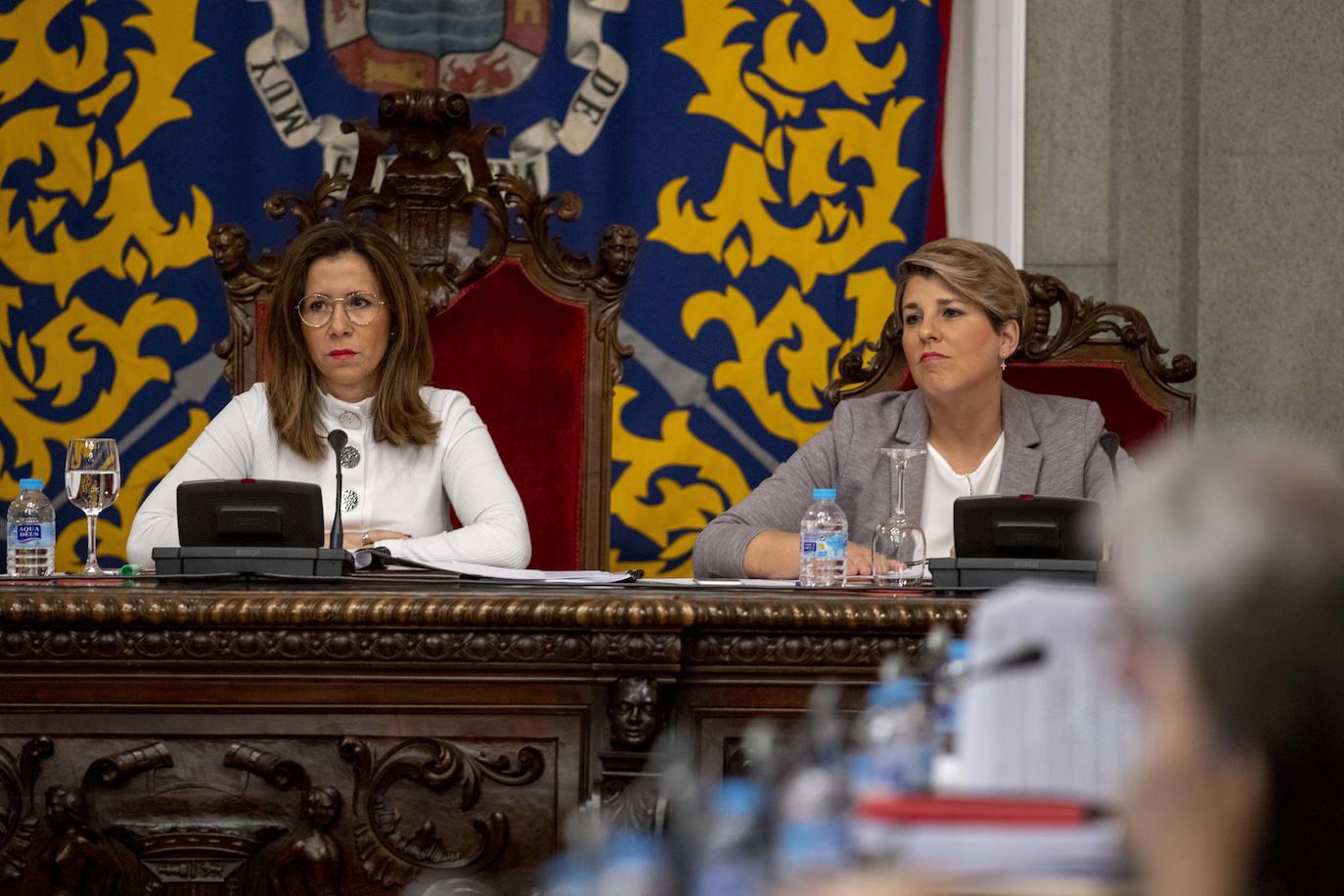 La compensación por la actualización del padrón inmobiliario desaparece de la normativa tributaria aprobada en el Pleno de Cartagena.