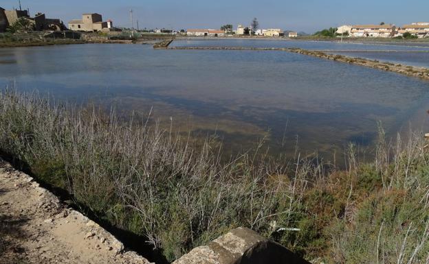 Zona de dominio público de las Salinas de Marchamalo objeto del proyecto de conservación.