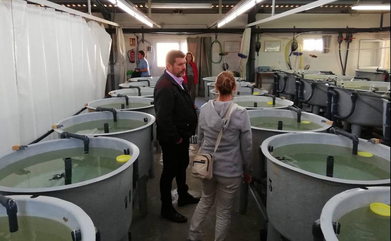 Visita de Fulgencio Perona a las instalaciones, este martes.