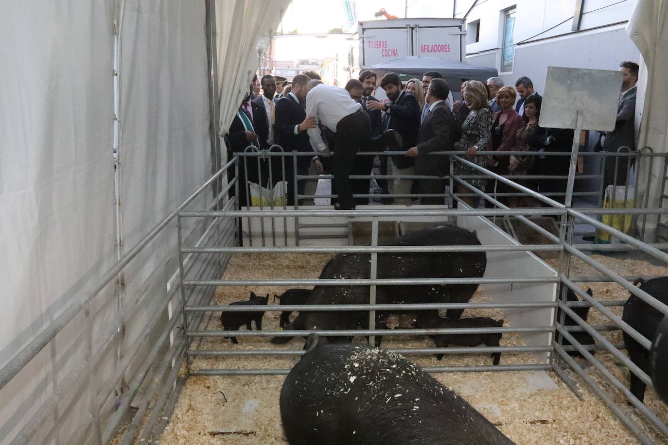 El presidente López Miras y el alcalde destacan la importancia de un sector que en la Región cuenta con 1.500 granjas.