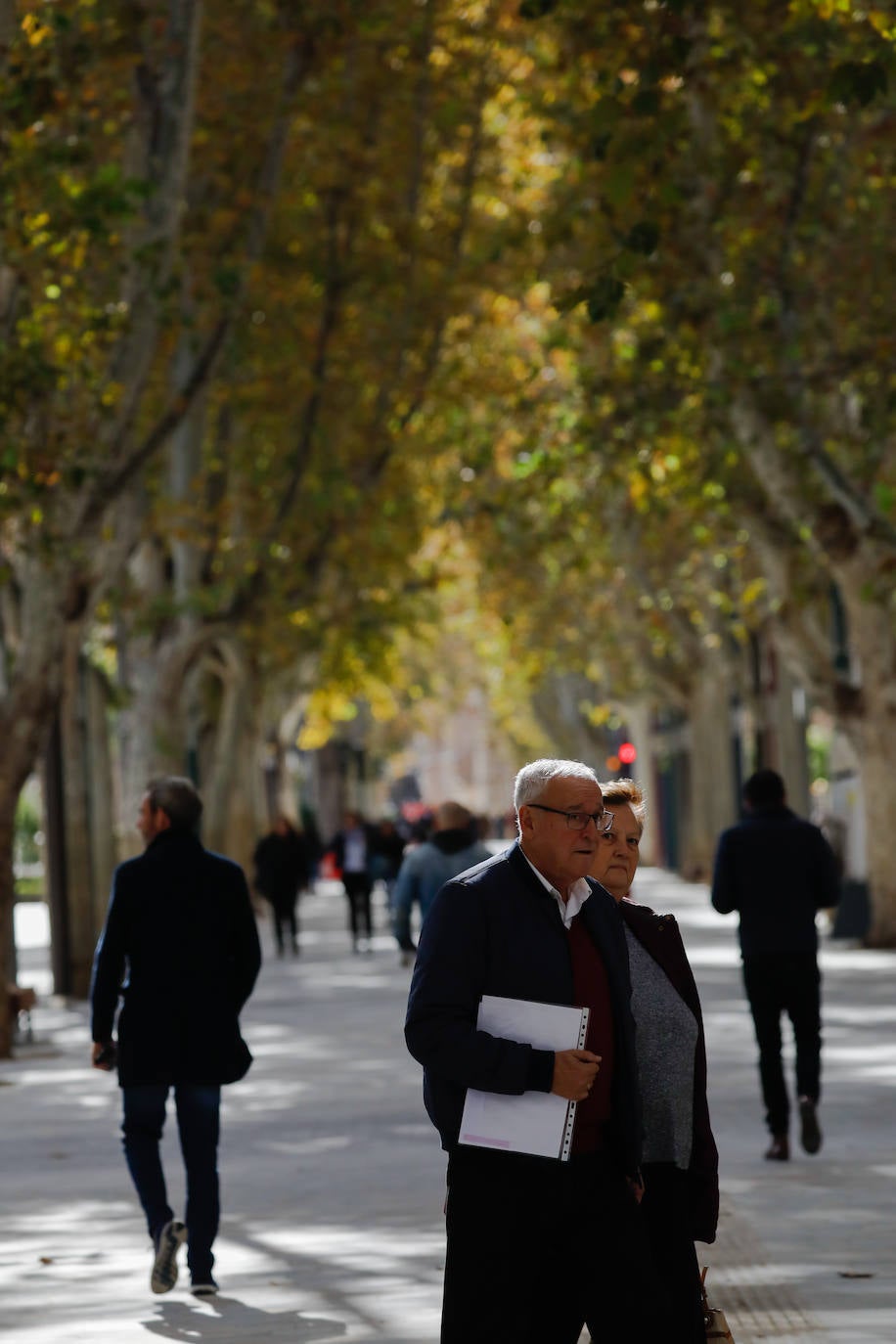 La inauguración del paseo será mañana con un espectáculo que ofrecerán artistas murcianos. 