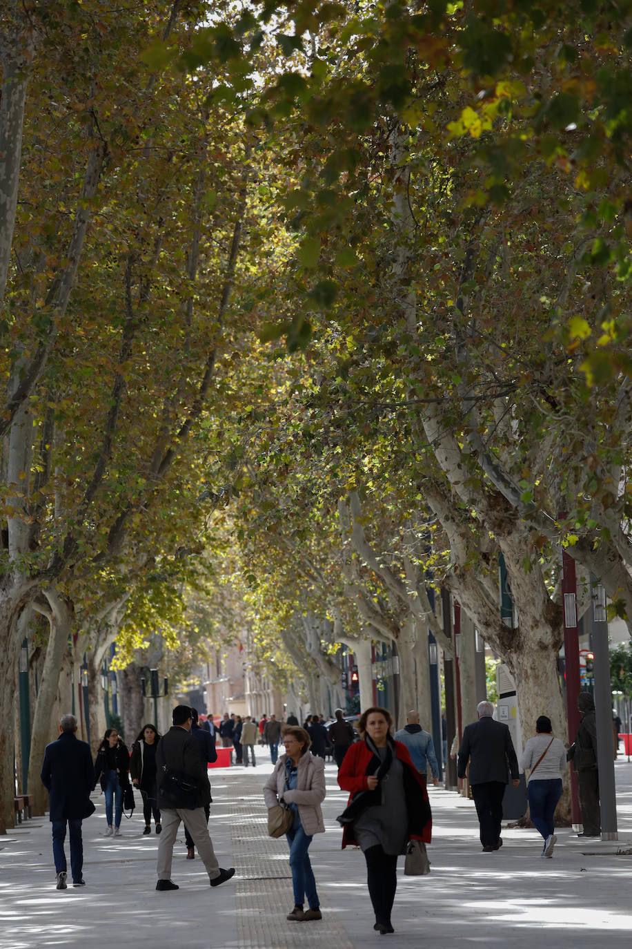 La inauguración del paseo será mañana con un espectáculo que ofrecerán artistas murcianos. 