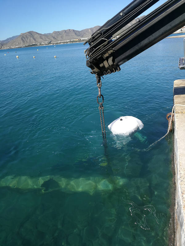 La asociación Submon retira 1.500 kilos de residuos en la Reserva Marina de Cabo Tiñoso, gracias al proyecto Libera