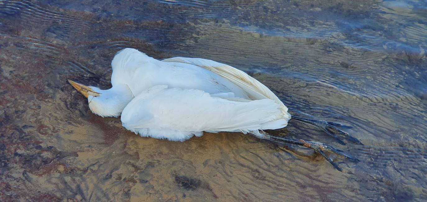 Estudia si la Comunidad ha incurrido en delitos contra el medio ambiente y de prevaricación en la parcela, que sigue sin un plan de descontaminación.