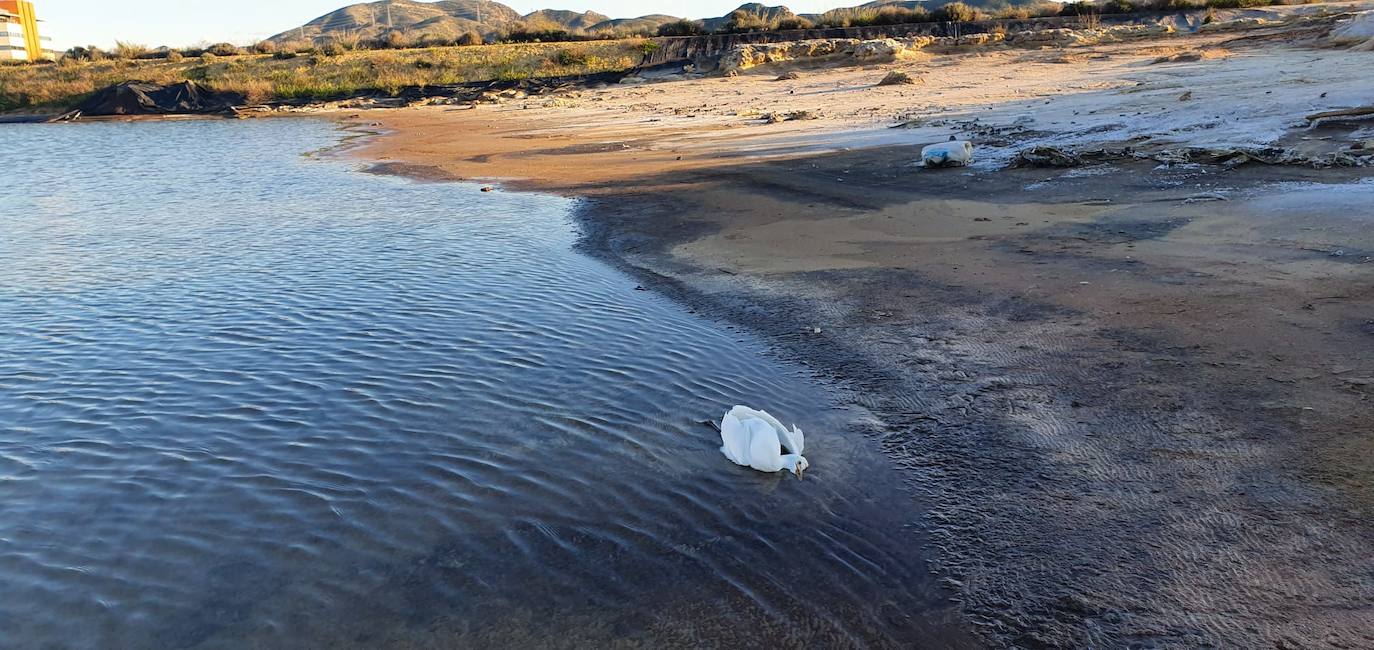 Estudia si la Comunidad ha incurrido en delitos contra el medio ambiente y de prevaricación en la parcela, que sigue sin un plan de descontaminación.