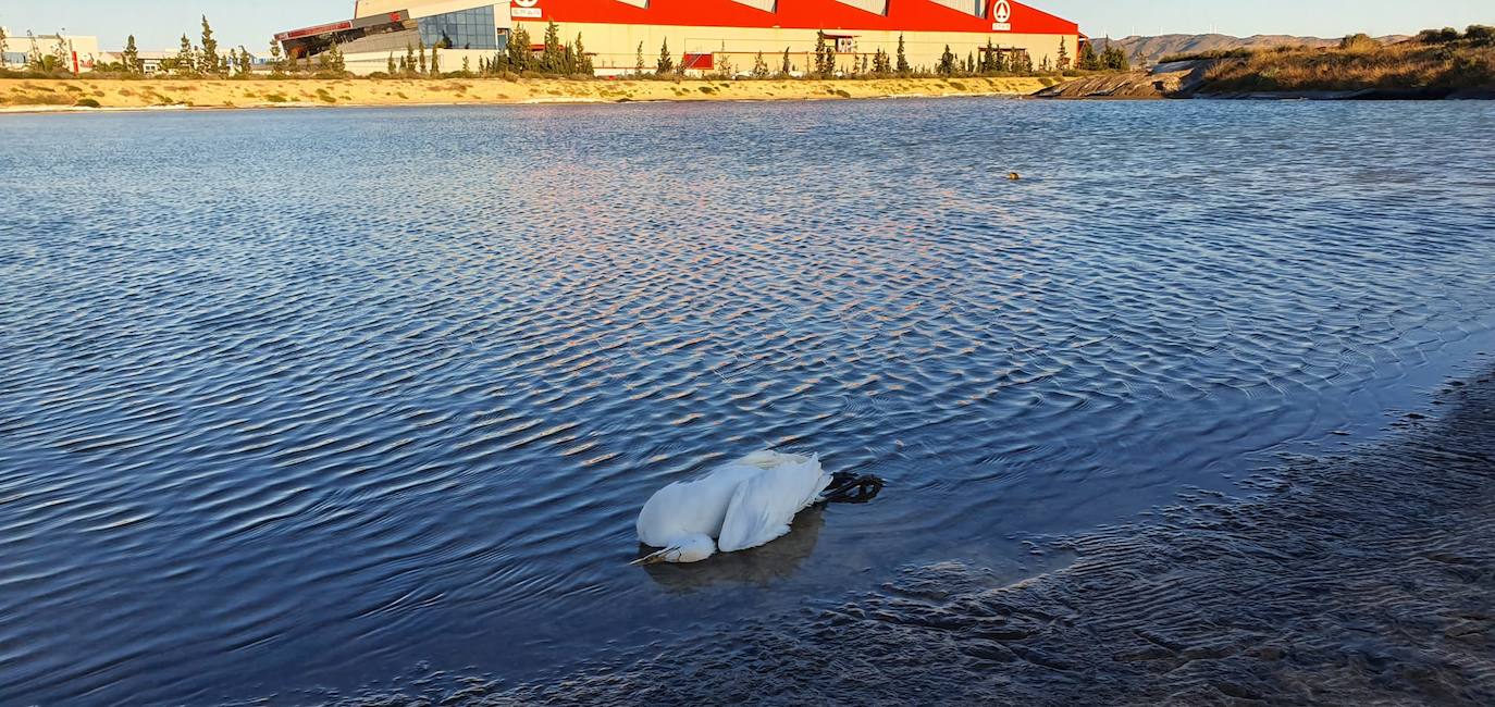 Estudia si la Comunidad ha incurrido en delitos contra el medio ambiente y de prevaricación en la parcela, que sigue sin un plan de descontaminación.