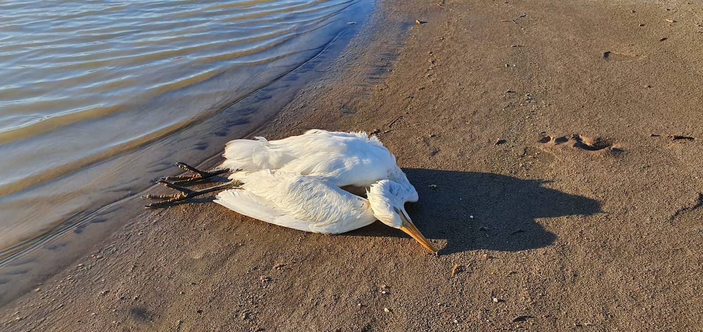 Estudia si la Comunidad ha incurrido en delitos contra el medio ambiente y de prevaricación en la parcela, que sigue sin un plan de descontaminación.