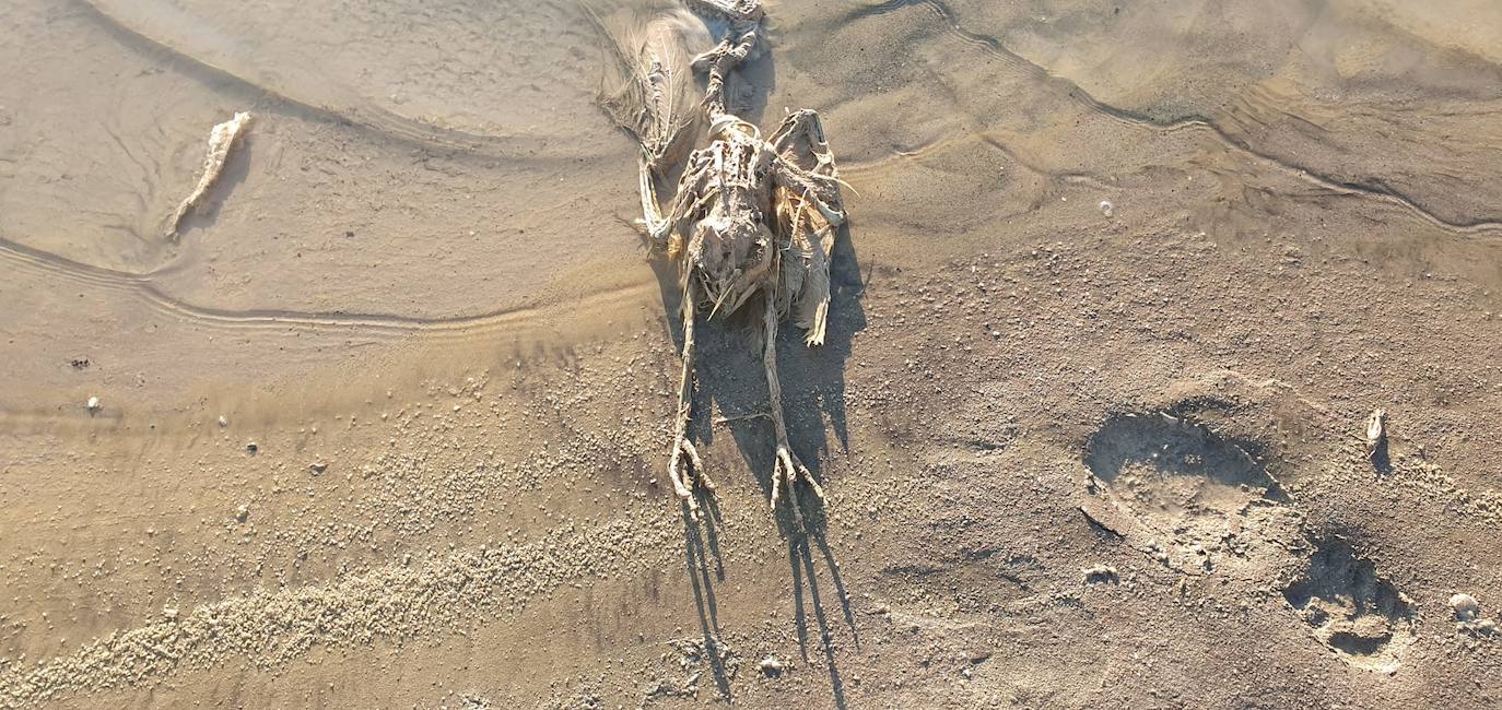 Estudia si la Comunidad ha incurrido en delitos contra el medio ambiente y de prevaricación en la parcela, que sigue sin un plan de descontaminación.