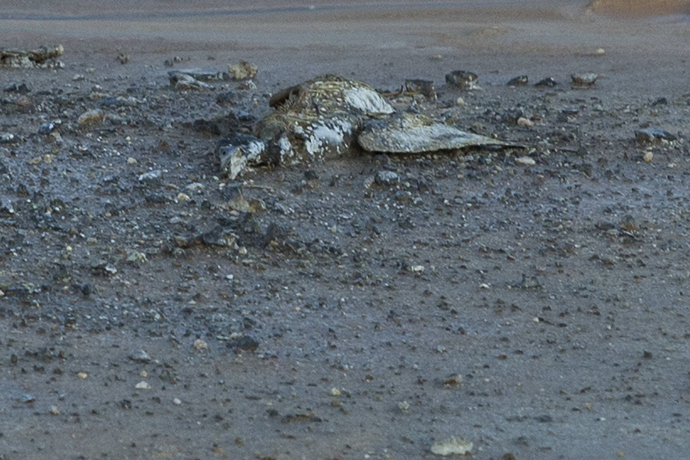 Estudia si la Comunidad ha incurrido en delitos contra el medio ambiente y de prevaricación en la parcela, que sigue sin un plan de descontaminación.