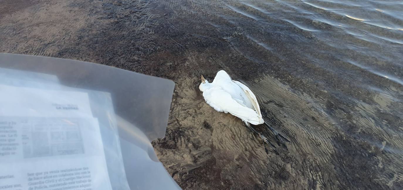 Estudia si la Comunidad ha incurrido en delitos contra el medio ambiente y de prevaricación en la parcela, que sigue sin un plan de descontaminación.