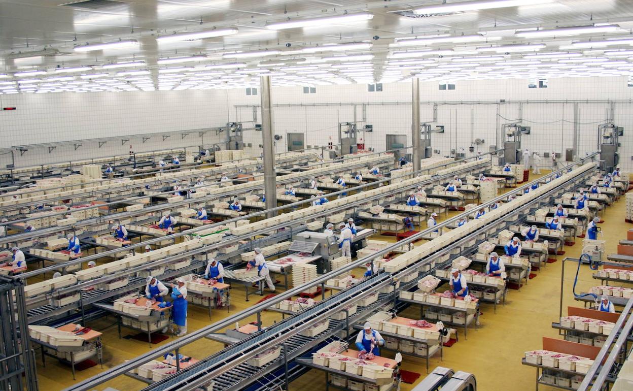 Instalaciones de eLPOZO en Alhama de Murcia.