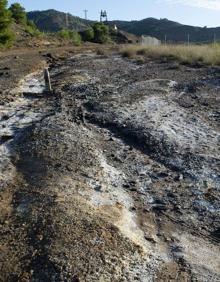 Imagen secundaria 2 - Arriba, el humedal de Lo Poyo, al que llegan residuos mineros. Abajo, los antiguos suelos de Potasas, con restos de arsénico, mercurio y residuos radiológicos; y la balsa Jenny, en Llano del Beal, con lixiviados de plomo, zinc y cadmio. 