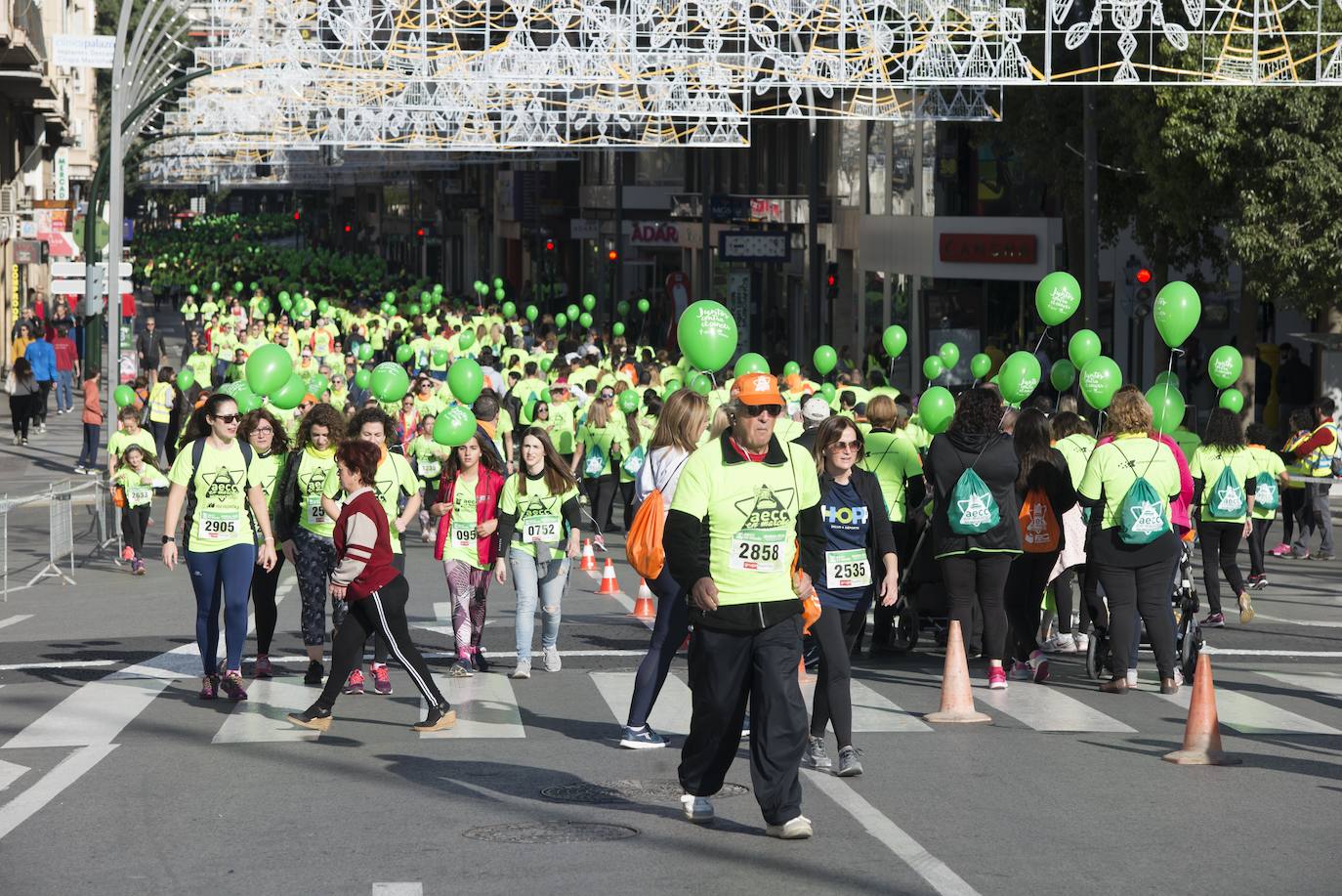 Fotos: El verde esperanza inunda Murcia