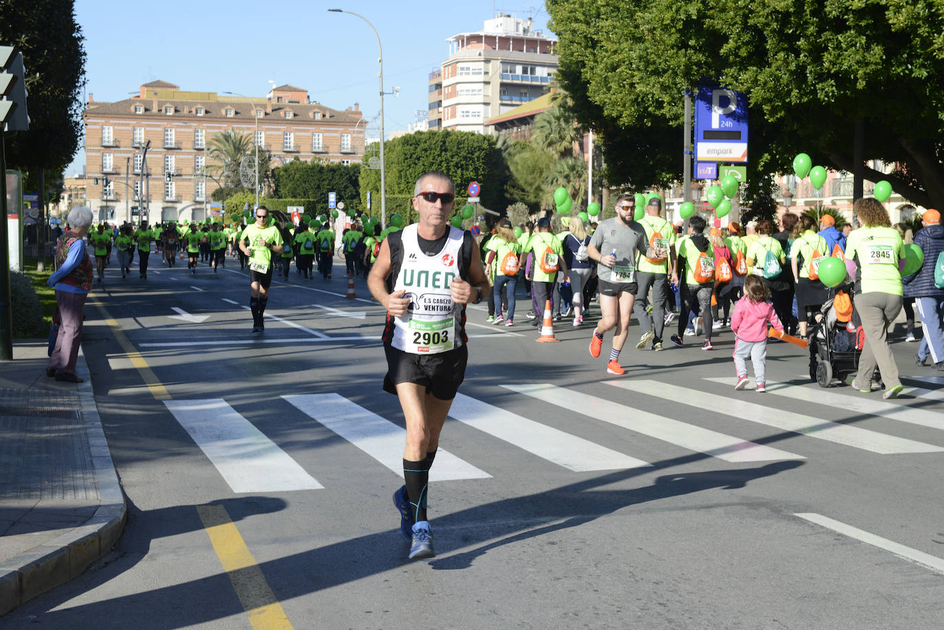 Fotos: El verde esperanza inunda Murcia