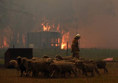 Imagen secundaria 1 - Australia registra la mayor temperatura de su historia en medio de los incendios