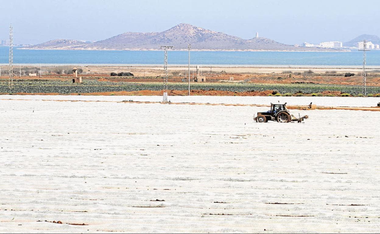 Un tractor en un campo de cultivo con plásticos en la zona de Lo Poyo; al fondo, el Mar Menor, en una foto de archivo. 