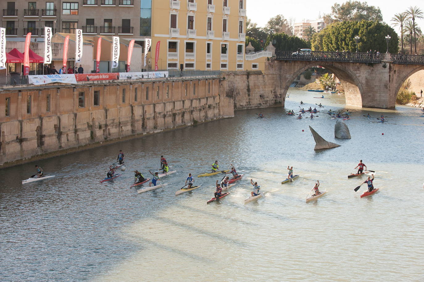 18-02-2019. La fiesta del piragüismo rompe su techo. Miles de espectadores disfrutan en el Segura de la IV Regata Ciudad de Murcia, en la que participan 700 deportistas de toda España en una prueba que, organizada por el Ayuntamiento de la ciudad, el diario LA VERDAD y el club UMU Murcia Río, gana prestigio y consolidación cada año. :: Juan Carlos Caval / AGM