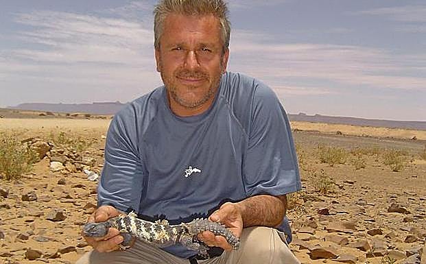 Morenilla, con un lagarto de cola espinosa en el desierto del Sahara. 