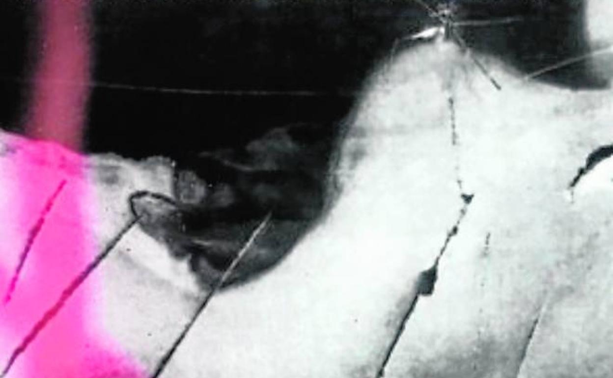 Exposicion 'Más allá del cuerpo'