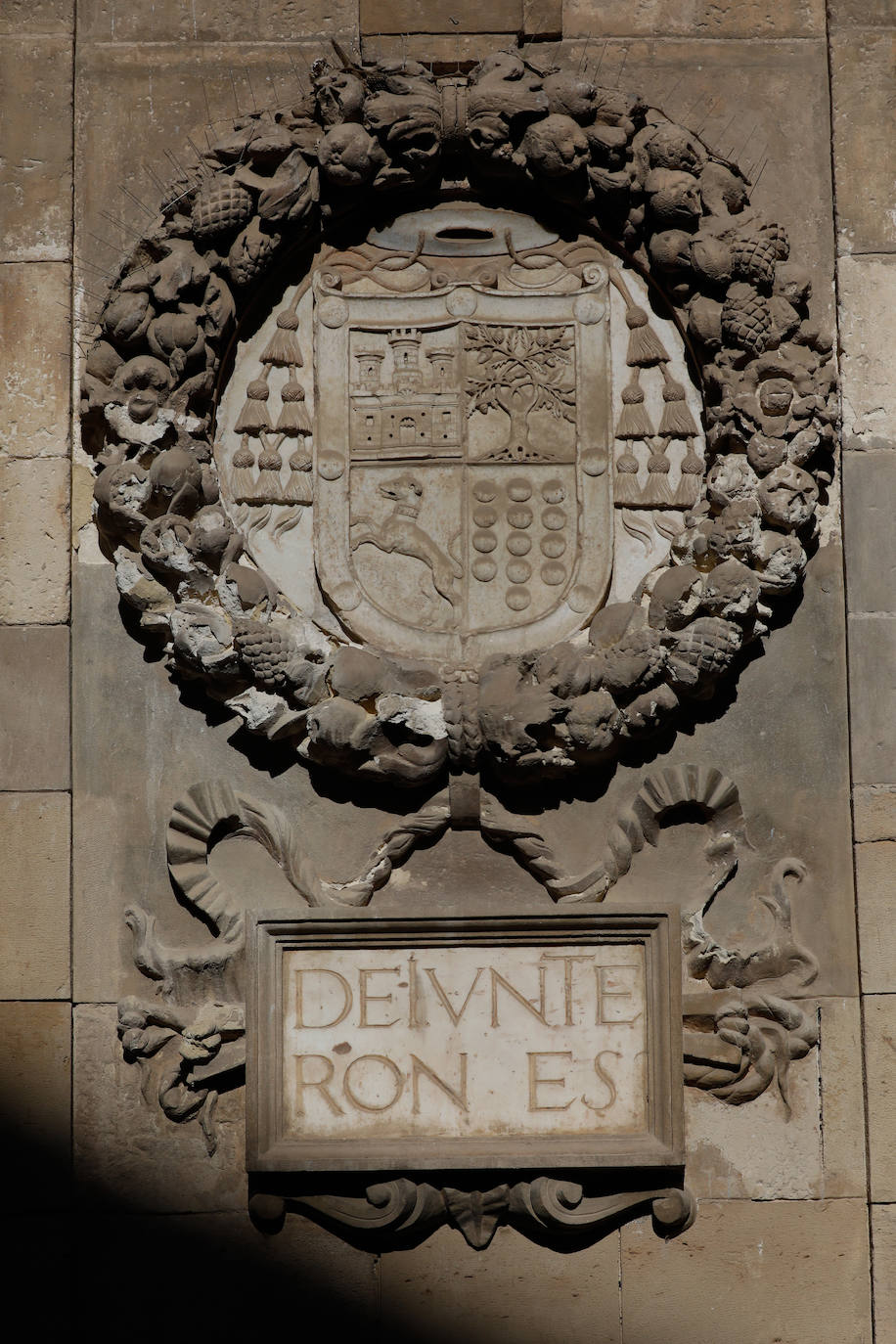 Escudo de Gil Rodríguez de Junterón.