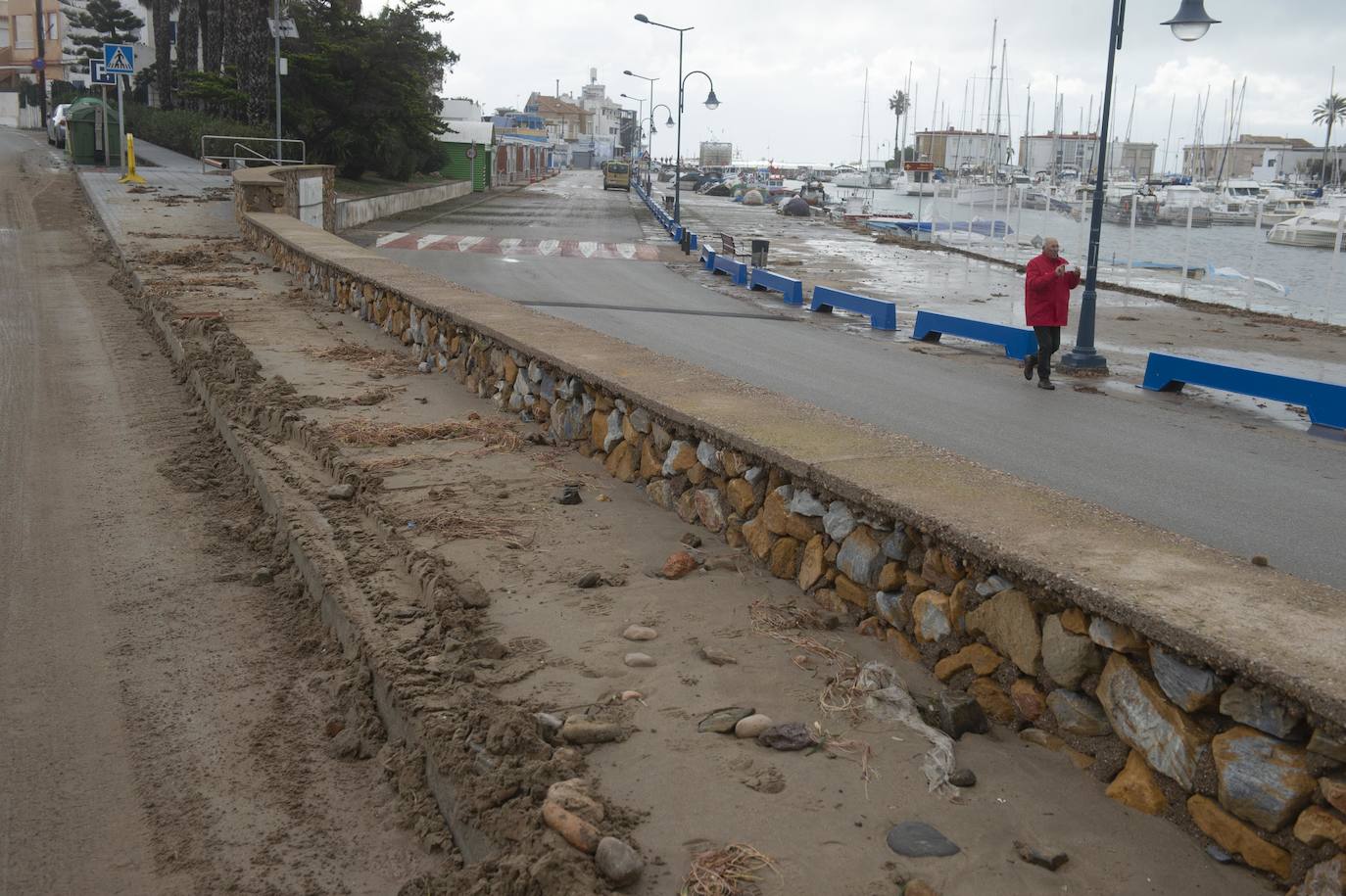 Las áreas más afectadas fueron la plaza Bohemia, donde cayeron palmeras, árboles y cactus gigantes, y la zona de bares de la urbanización Babilonia