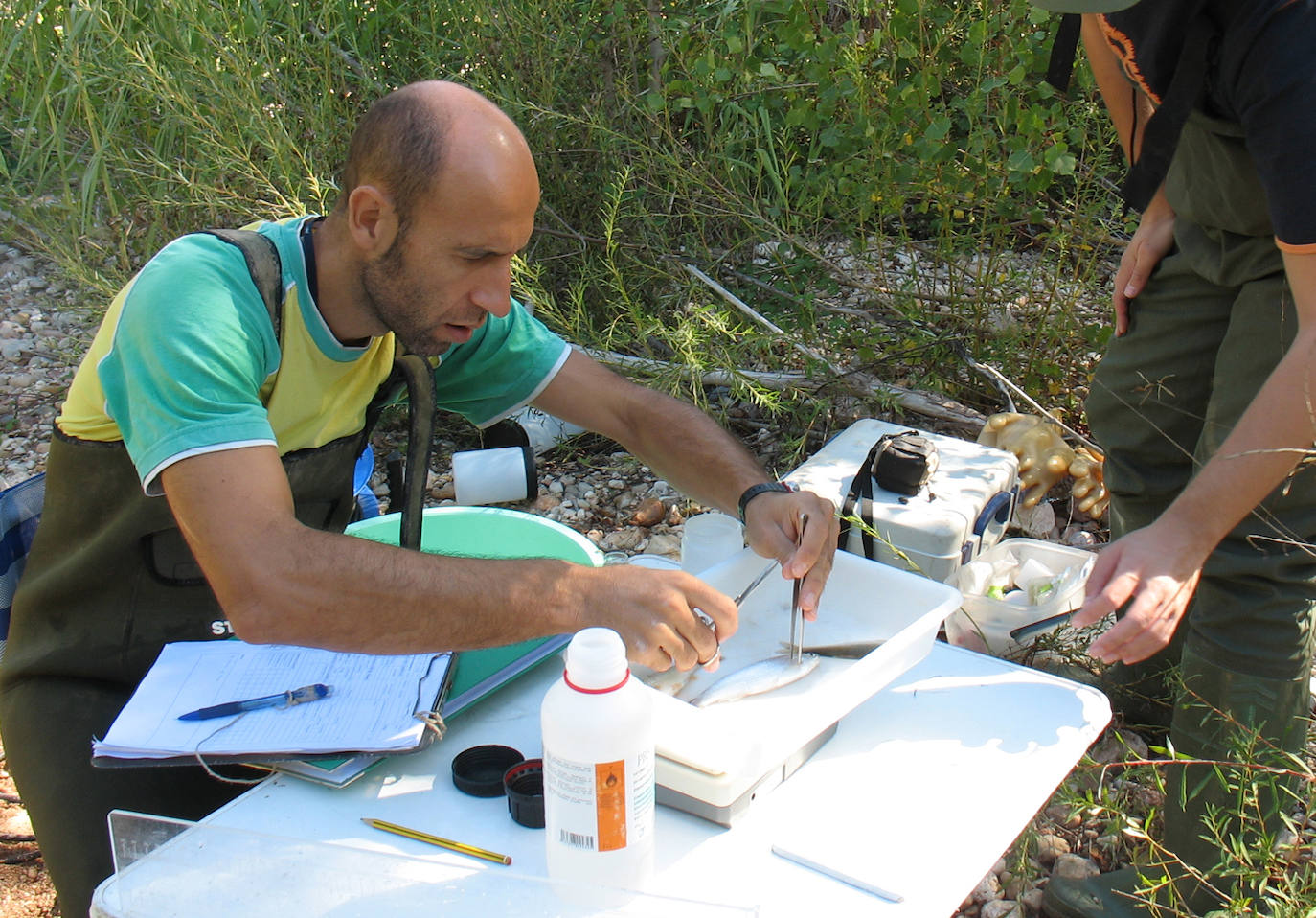Casi cincuenta especies de peces, crustáceos, moluscos y plantas exóticas, y más de 100 'futuribles', amenazan la biodiversidad de los ecosistemas acuáticos del Sureste.