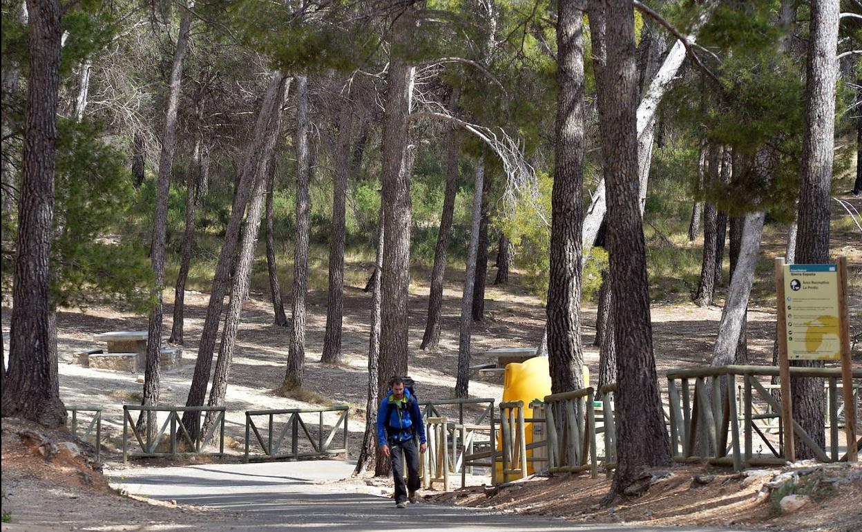 Un excursionista en el área recreativa de La Perdiz, en Sierra Espuña.