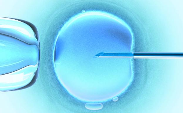 Inseminación 'in vitro' de un óvulo.