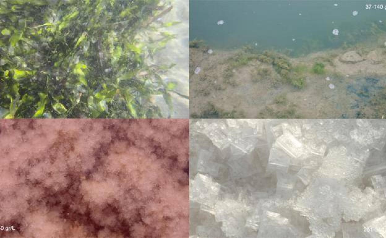 'Capital natural: el capítulo del mar'