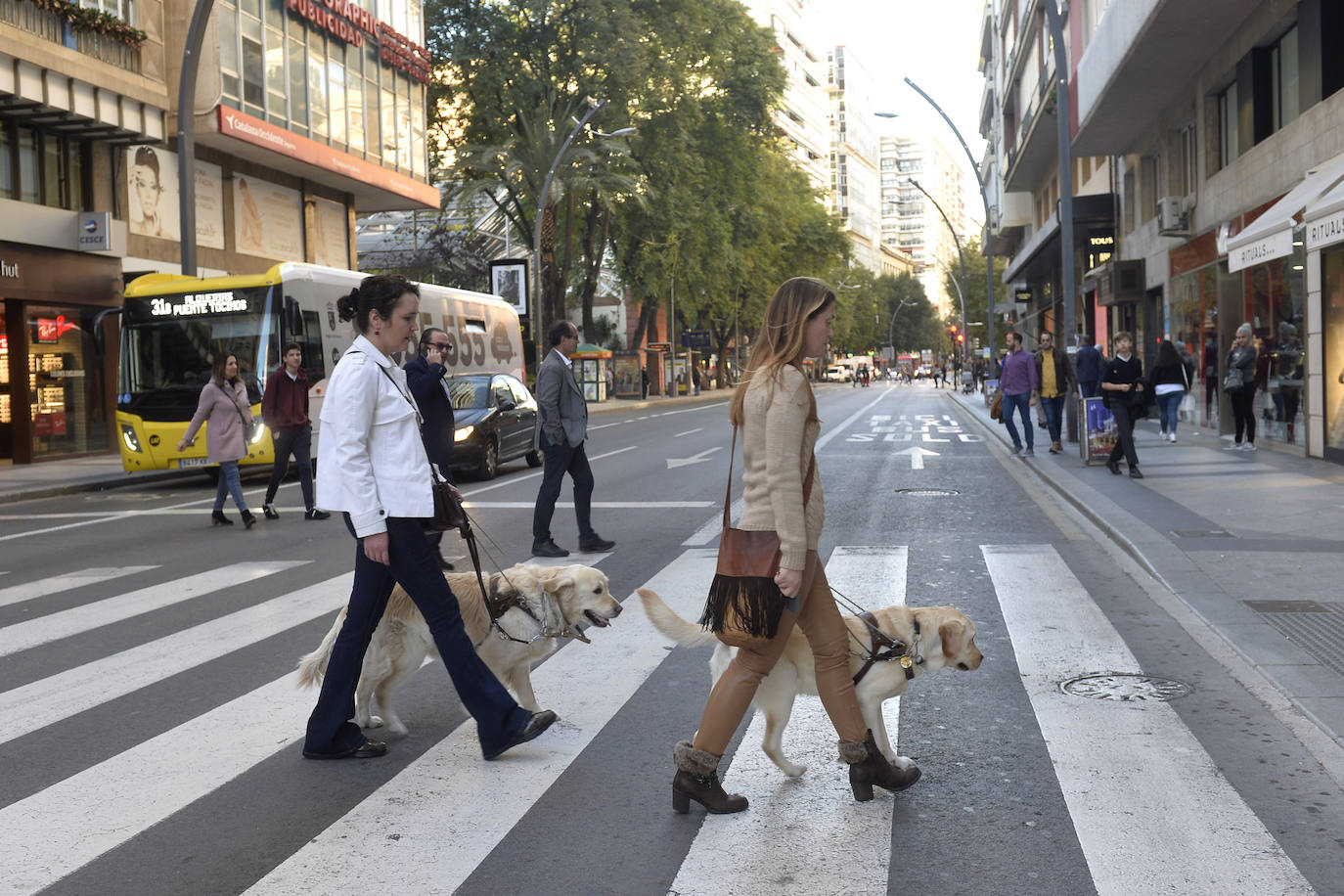 Fotos: Pasear totalmente &#039;a ciegas&#039; por Murcia